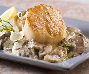 Ptoncles  la crme de champignons sauvages